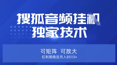 【搜狐音频挂G】独家技术，可矩阵可放大，红利期稳定月入8k【揭秘】-我的网站