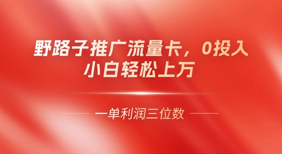 0门槛推广流量卡，一单收益上百，0投入，小白月入过W-我的网站
