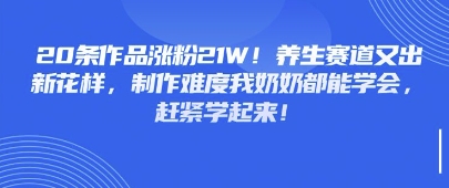 20条作品涨粉21W！养生赛道又出新花样，制作难度我奶奶都能学会，赶紧学起来-我的网站