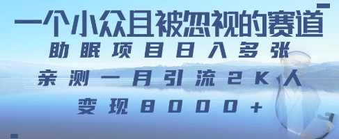 一个被严重低估的赛道，卖助眠教程日入三位数以上-我的网站