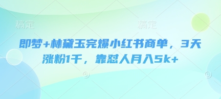即梦+林黛玉完爆小红书商单，3天涨粉1千，靠怼人月入5k+-我的网站