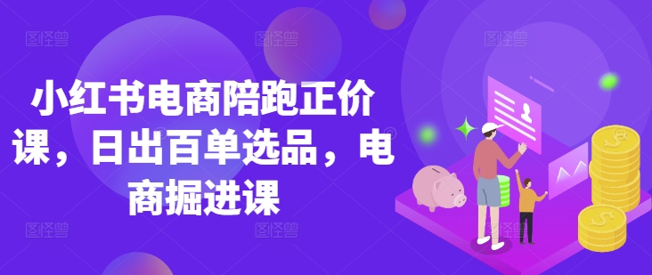 小红书电商陪跑正价课，小红书官方认证电商讲师教学，日出百单选品，电商掘进课-我的网站