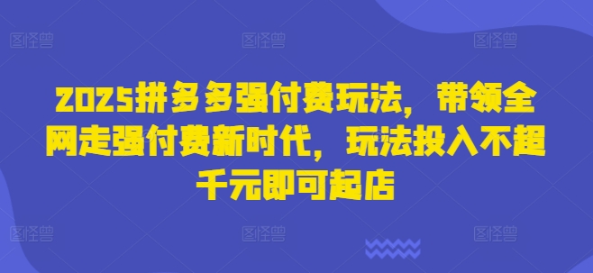 2025拼多多强付费玩法，带领全网走强付费新时代，玩法投入不超千元即可起店-我的网站