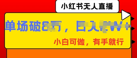 小红书无人直播，纯小白可做，有手就行，单场直播销售额破8w-我的网站