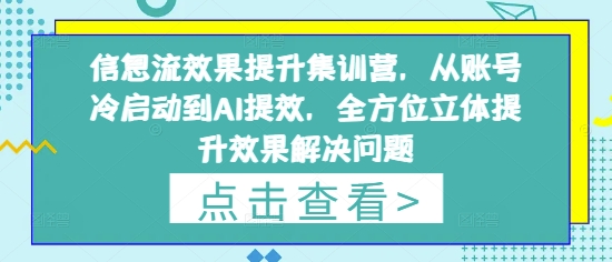 信息流效果提升集训营，从账号冷启动到AI提效，全方位立体提升效果解决问题-我的网站