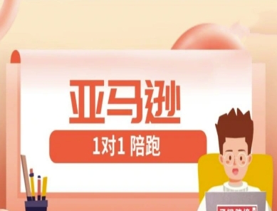 亚马逊1对1陪跑课(FBA/FBM精铺)跨境亚马逊教程-我的网站
