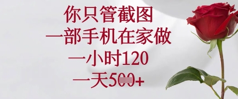 你只管截图，一部手机在家做，苹果安卓都可以，一小时120，一天5张+【揭秘】-我的网站