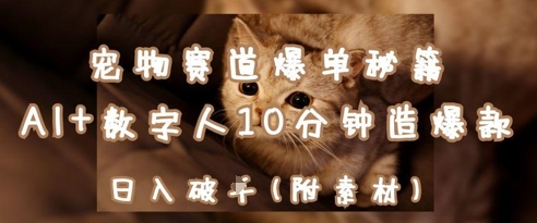 宠物赛道爆单秘籍：AI+数字人10分钟造爆款，日入1k-我的网站