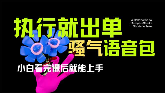 （14170期）爆火全网的开车导航骚气语音包,只要执行就出单，小白看完课程就能实操…-我的网站
