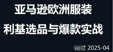 跨境电商选品案例24-25年，聚焦跨境电商选品策略与运营优化，助力卖家挖掘蓝海市场-我的网站
