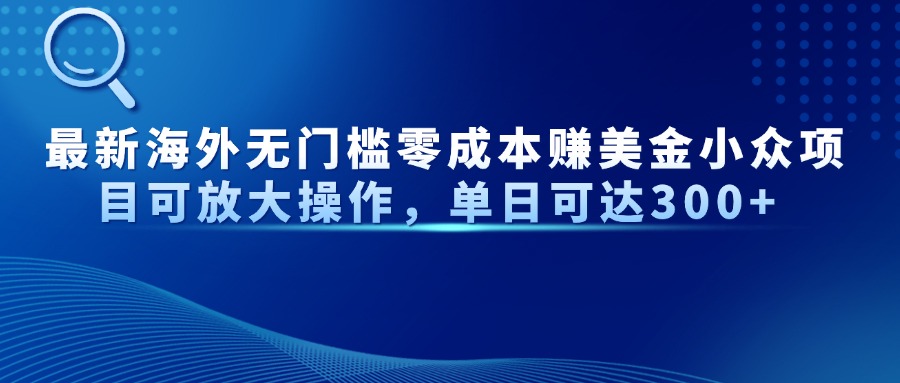 （14542期）最新海外无门槛零成本赚美金小众项目可放大操作，单日可达300+ -我的网站
