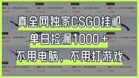 真全网独家CSGO挂G，单日捡漏1k+【揭秘】-我的网站