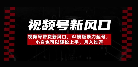 视频号带货新风口，AI模版暴力起号，小白也可以轻松上手，月入过W-我的网站