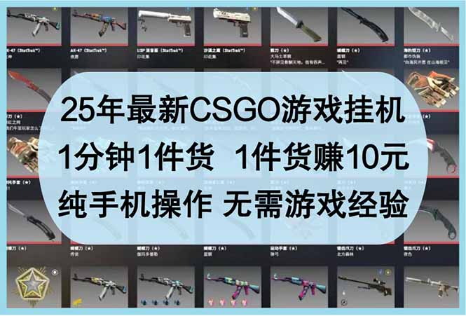 （14439期）25年最新CSGO游戏挂机，1分钟1件货，1件货赚10元 纯手机操作 无需游戏经验-我的网站