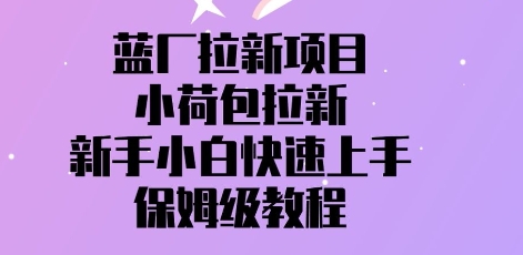 蓝厂拉新项目，小荷包拉新，新手小白快速上手，保姆级教程-我的网站