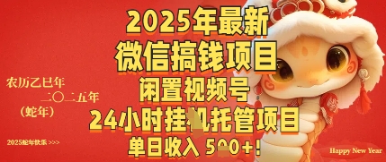 2025年最新微信搞钱项目，闲置视频号年24小时挂G托管项目，单日收入多张-我的网站