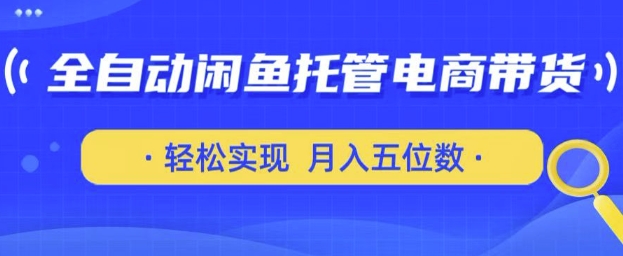 全自动闲鱼托管式电商带货，只需一部安卓手机和一个闲鱼号，轻松实现月入五位数【揭秘】-我的网站