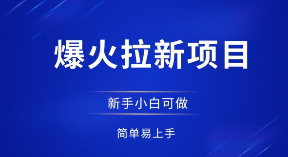 爆火拉新项目，有手就行，小白轻松入门，日入1张拉新整套流程-我的网站