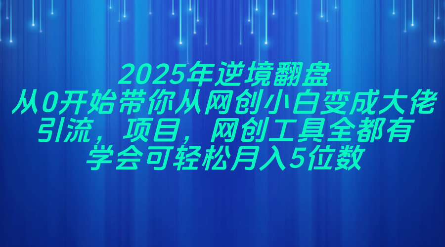 （14473期）2025年逆境翻盘，从0开始带你从网创小白变成大佬，引流，项目，网创工…-我的网站