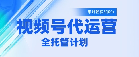 视频号代运营2.0，全程托管招募，单月轻松变现5k【揭秘】-我的网站