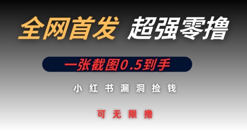 全网首发无限零撸捡钱项目，小红书一张截图0.5元可无限零撸-我的网站