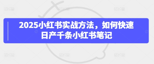 2025小红书实战方法，如何快速日产千条小红书笔记-我的网站