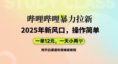 哔哩哔哩暴力拉新：2025年新风口，一单12元，一天数张(附开白渠道和保姆级教程)-我的网站