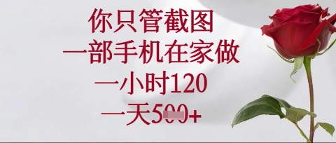 你只管截图，一部手机在家操作，一小时120.一天5张【揭秘】-我的网站