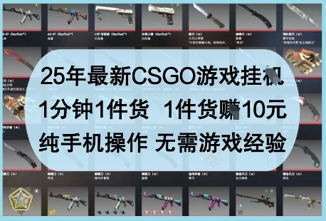 25年最新CSGO游戏挂G，1分钟1件货，1件货挣10元，纯手机操作，无需游戏经验【揭秘】-我的网站