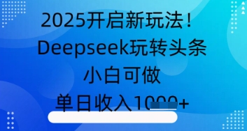 2025开启新玩法！Deepseek玩转头条，小白可做，单日收入几张-我的网站