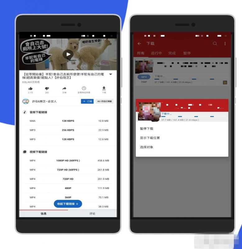 安卓–油管/P站视频下载器–支持付费下载-我的网站