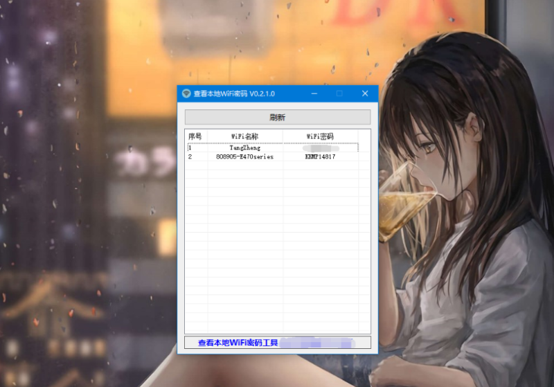 查看电脑本地Wifi密码工具-我的网站