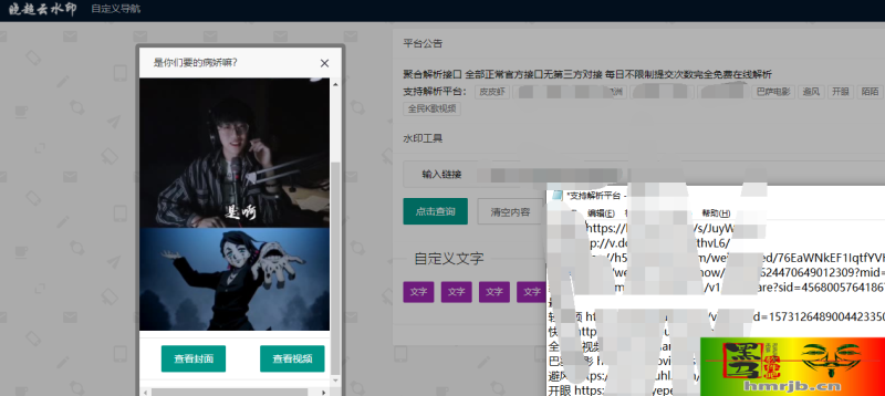 聚合短视频解析网程序源码-我的网站