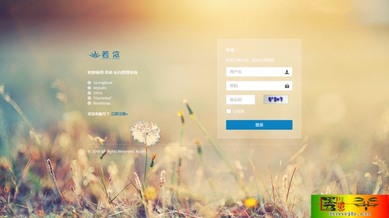 RuoYi若依管理系统v4.5.1源码+定时任务功能-我的网站