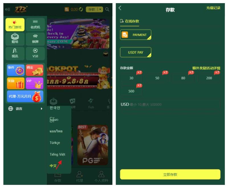 新版海外多语言pg电子游戏源码/新版接口/带搭建教程-我的网站